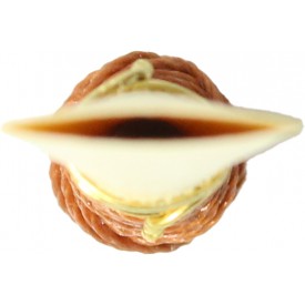 Caña fagot modelo 9.2 de Danzi