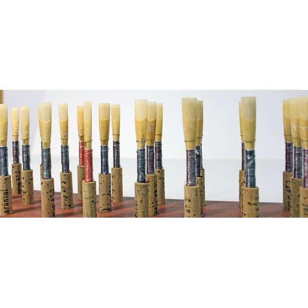 Caña de estudio oboe Arunval