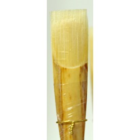 Caña de estudio oboe Arunval