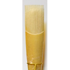 Caña de estudio oboe Arunval