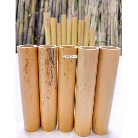 Arundo donax en tubos