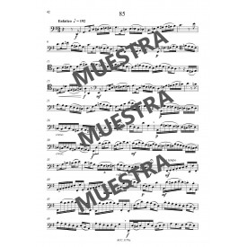 Schultze-Florey: 99 Recital Pieces for Mini Bassoon or Bassoon Vol. 3