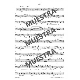 Schultze-Florey: 99 Recital Pieces for Mini Bassoon or Bassoon Vol. 3