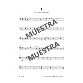 Schultze-Florey: 99 Recital Pieces for Mini Bassoon or Bassoon Vol. 1