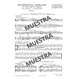 Rothwell, Evelyn: Pasajes difíciles vol. 1