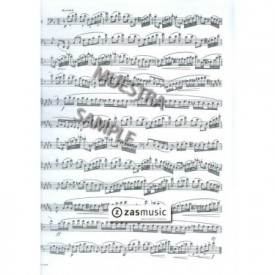 Bitsch: (20) Vingt études