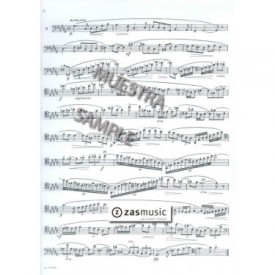 Bitsch: (20) Vingt études