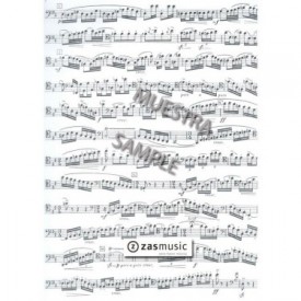 Bitsch: Concertino para fagot y piano