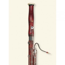 Modelo 100 Estudiante Moosmann