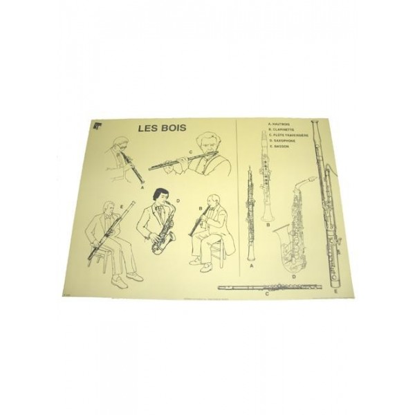 póster de los instrumentos de viento madera