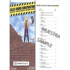 Oldenkamp, Michiel & Kastelein, Jaap: Scales under construction