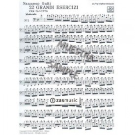 Gatti: 22 grandi esercizi