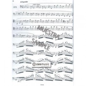 Gatti: 22 grandi esercizi