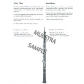 Heller-Meisenburg: Accelerando