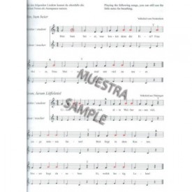 Heller-Meisenburg: Accelerando