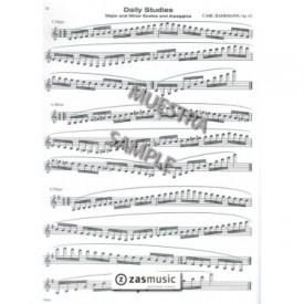 Protocol, the Collegiate Audition Process for Clarinet