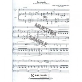 Protocol, the Collegiate Audition Process for Clarinet