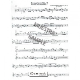 Protocol, the Collegiate Audition Process for Clarinet