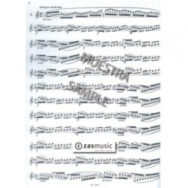 klosé: 20 estudios característicos