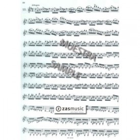 klosé: 20 estudios característicos