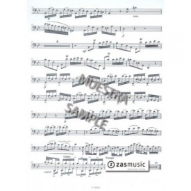 Vivaldi: Concierto en Si b M F. VIII nº 35