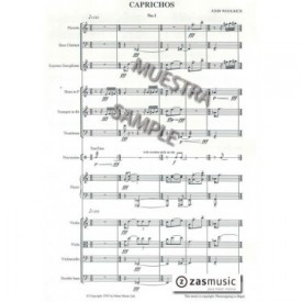 Woolrich: Caprichos for chamber ensemble of twelve players