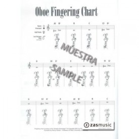 Schmidt: My first Barret / Niemann.