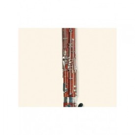 Modelo 222 Profesional Moosmann