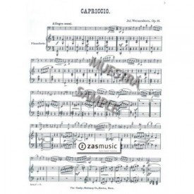 Weissenborn: Capriccio Op. 14