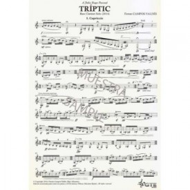 Tríptic bass clarinet solo