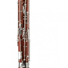 Modelo 111 Estudiante Moosmann