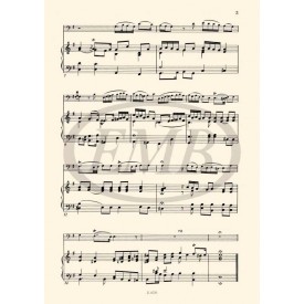 Marcello: Sonata per fagotto e pianoforte (Mi m)