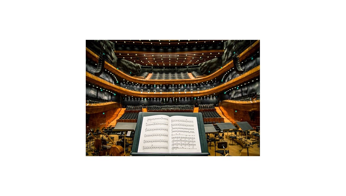 Curiosidades sobre el Fagot